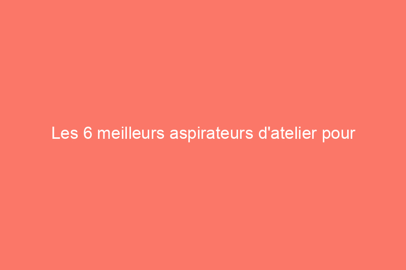 Les 6 meilleurs aspirateurs d'atelier pour ramasser les débris lourds et les saletés humides