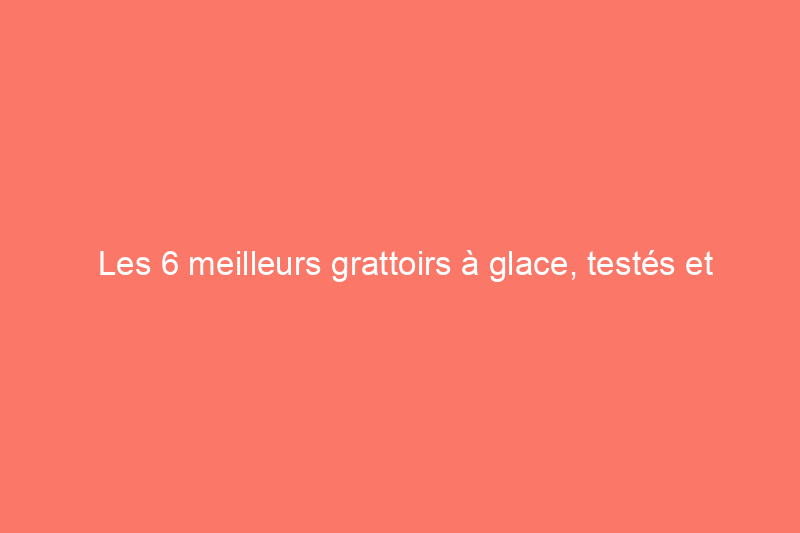 Les 6 meilleurs grattoirs à glace, testés et évalués