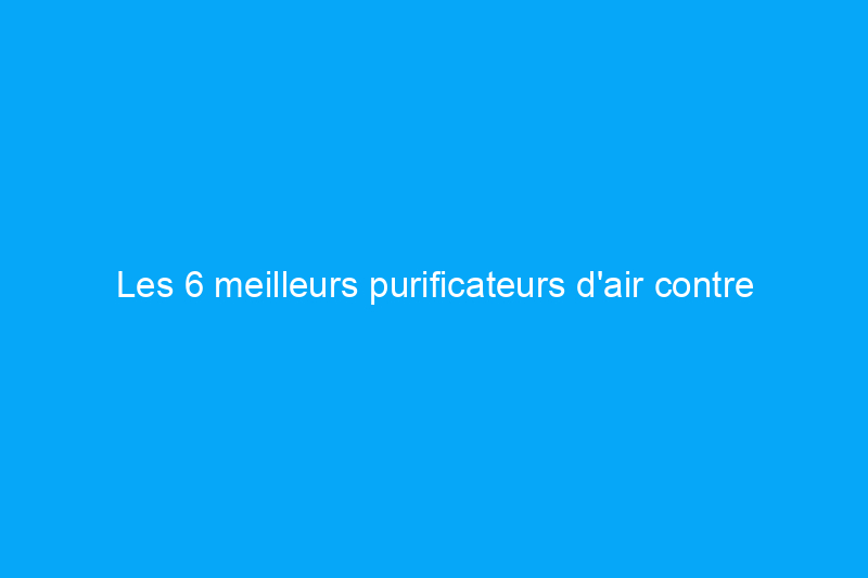 Les 6 meilleurs purificateurs d'air contre les moisissures qui réduisent les spores en suspension dans l'air