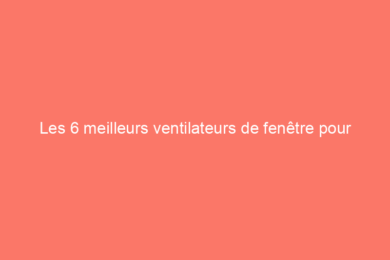 Les 6 meilleurs ventilateurs de fenêtre pour refroidir et rafraîchir votre espace de manière rentable