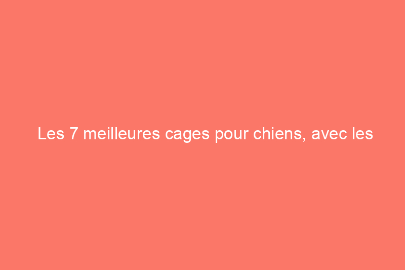 Les 7 meilleures cages pour chiens, avec les commentaires des propriétaires et des comportementalistes