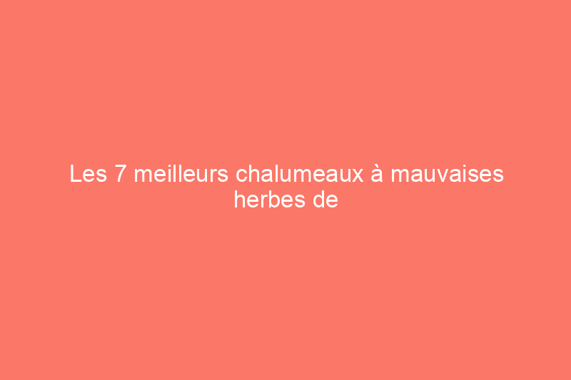 Les 7 meilleurs chalumeaux à mauvaises herbes de 2024 pour une cour et un jardin impeccables