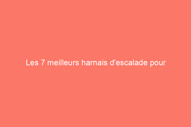 Les 7 meilleurs harnais d'escalade pour escalader les murs en toute sécurité et en tout confort