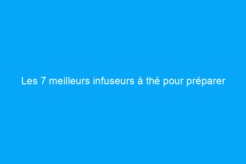 Les 7 meilleurs infuseurs à thé pour préparer la tasse parfaite à chaque fois