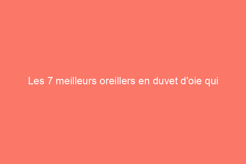 Les 7 meilleurs oreillers en duvet d'oie qui offrent le sommeil le plus luxueux