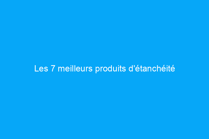 Les 7 meilleurs produits d'étanchéité pour toitures pour des réparations durables, testés