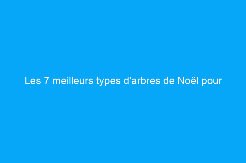 Les 7 meilleurs types d'arbres de Noël pour votre maison