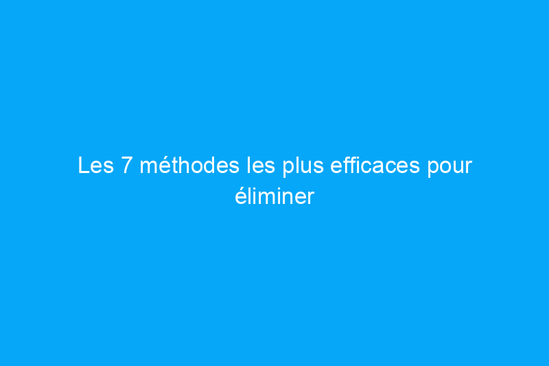 Les 7 méthodes les plus efficaces pour éliminer les rats musqués – et quand faire appel à un professionnel