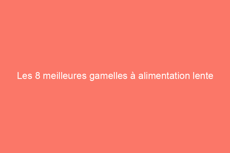 Les 8 meilleures gamelles à alimentation lente pour chien pour empêcher votre chiot de manger trop vite