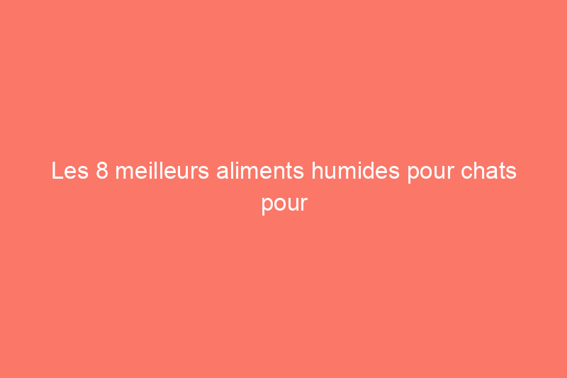 Les 8 meilleurs aliments humides pour chats pour garder votre animal heureux, en bonne santé et hydraté