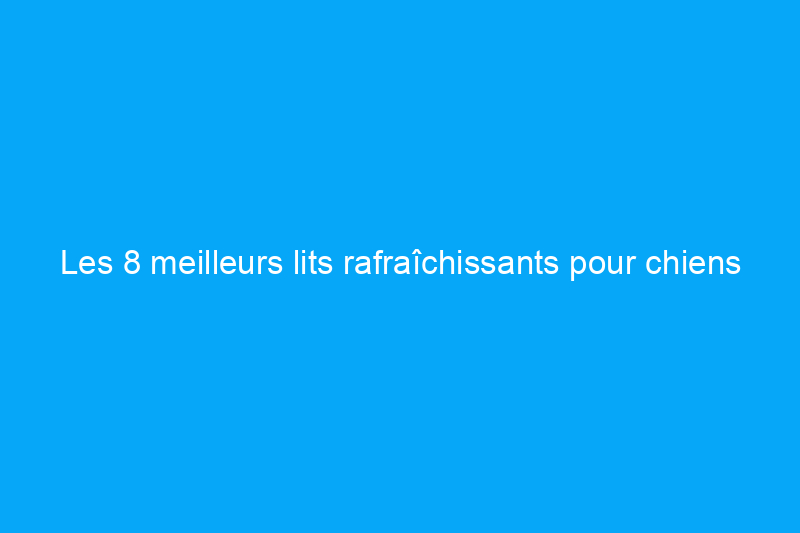 Les 8 meilleurs lits rafraîchissants pour chiens pour soulager les chiots pendant la chaleur estivale