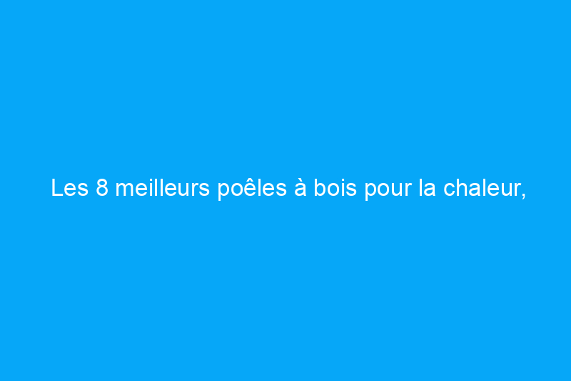 Les 8 meilleurs poêles à bois pour la chaleur, l'efficacité et l'ambiance