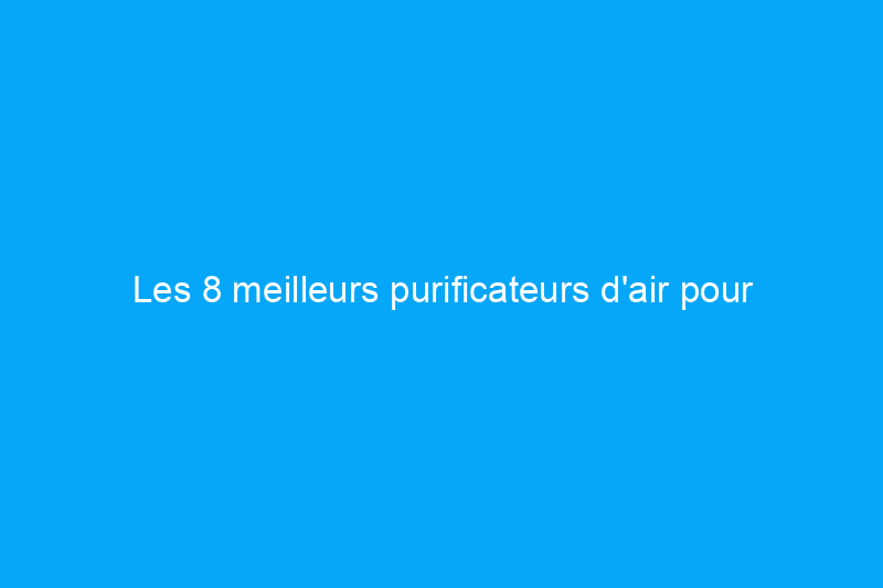 Les 8 meilleurs purificateurs d'air pour animaux de compagnie pour réduire les allergènes et les odeurs