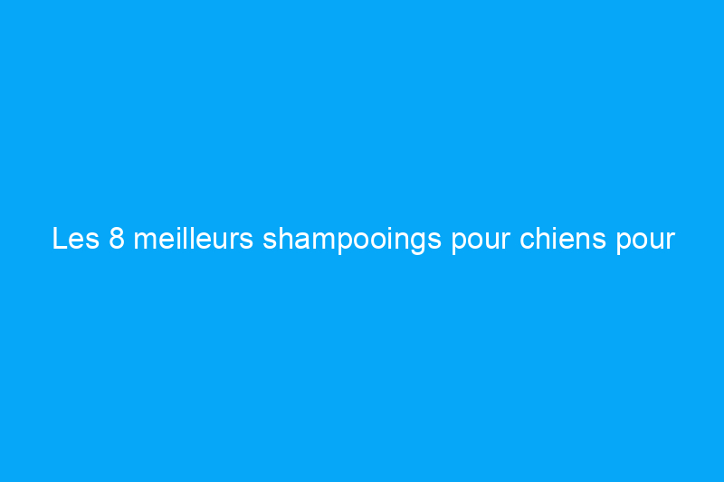 Les 8 meilleurs shampooings pour chiens pour garder votre chiot frais, propre et confortable