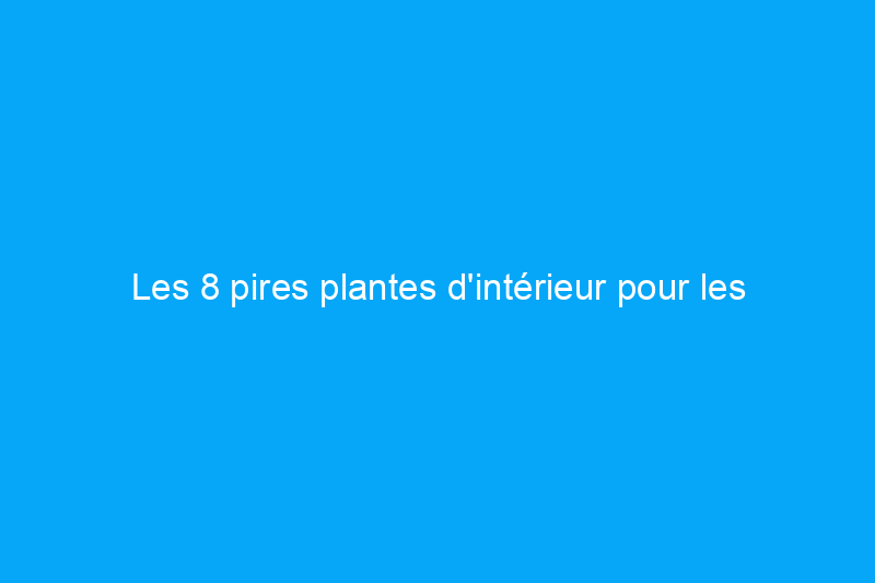 Les 8 pires plantes d'intérieur pour les personnes allergiques