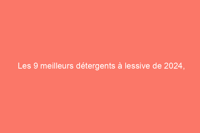 Les 9 meilleurs détergents à lessive de 2024, testés et évalués