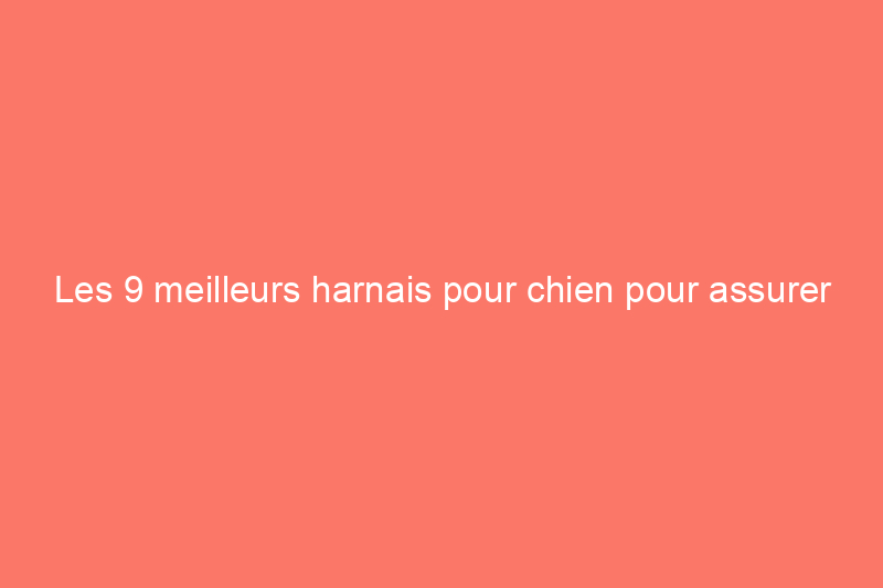 Les 9 meilleurs harnais pour chien pour assurer la sécurité et le confort de votre chiot