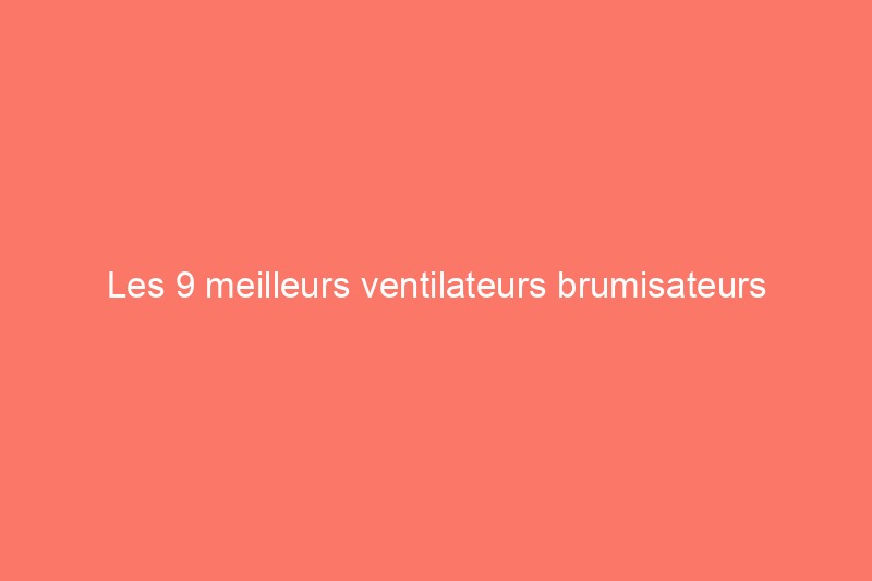 Les 9 meilleurs ventilateurs brumisateurs d'extérieur de 2024