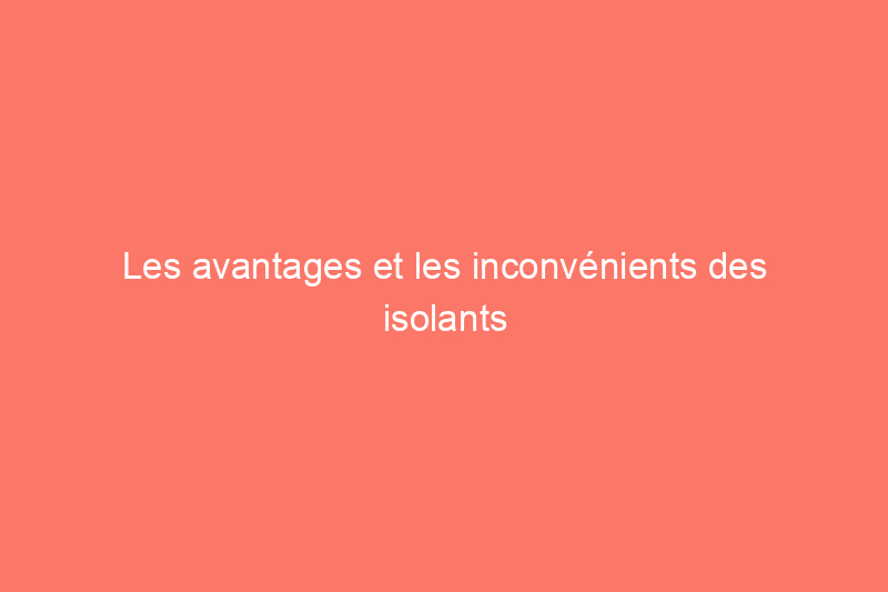 Les avantages et les inconvénients des isolants les plus populaires d'aujourd'hui