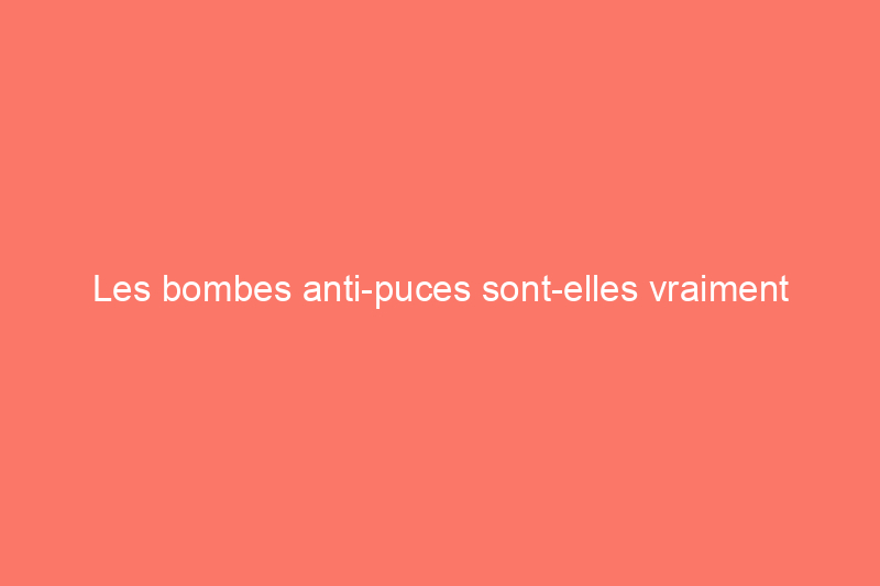 Les bombes anti-puces sont-elles vraiment efficaces ? Ce que vous devez savoir avant d'acheter