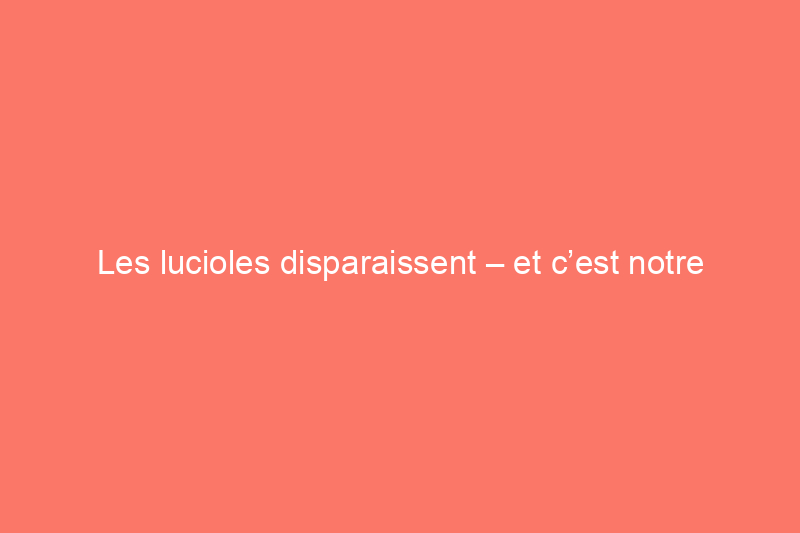 Les lucioles disparaissent – et c’est notre faute