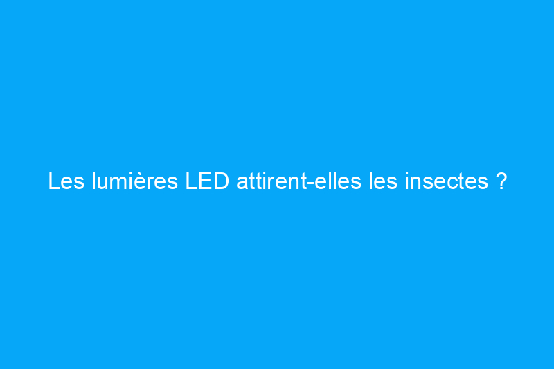 Les lumières LED attirent-elles les insectes ? Ce que tous les propriétaires devraient savoir