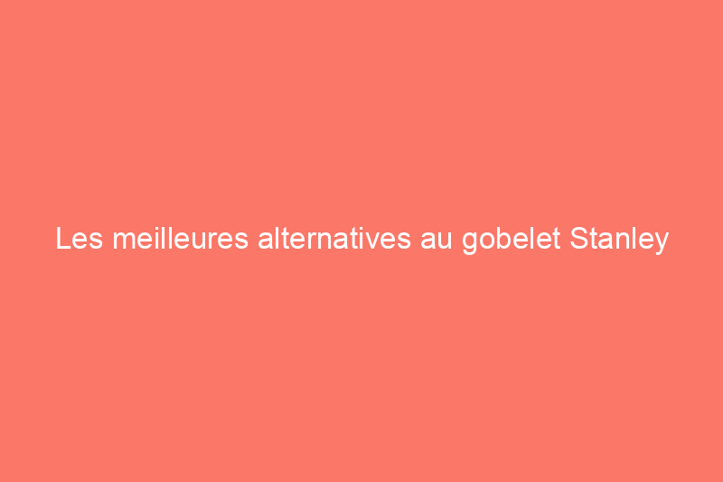 Les meilleures alternatives au gobelet Stanley pour rester hydraté