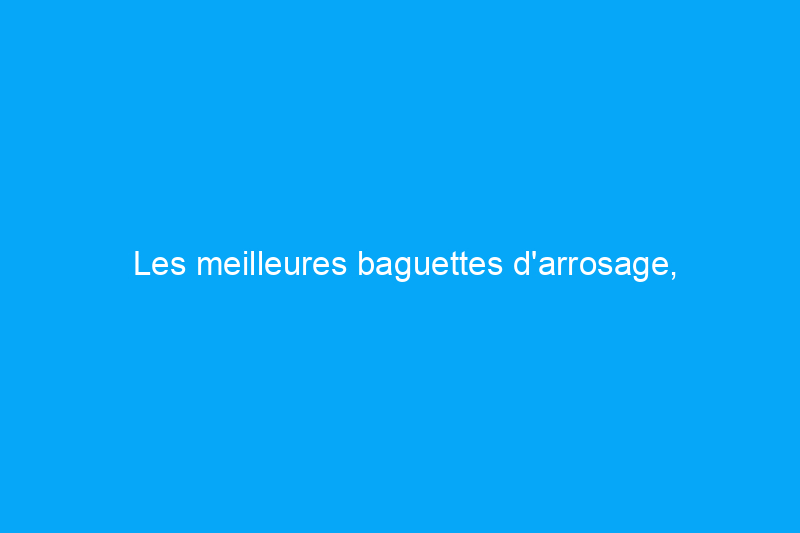 Les meilleures baguettes d'arrosage, testées et évaluées