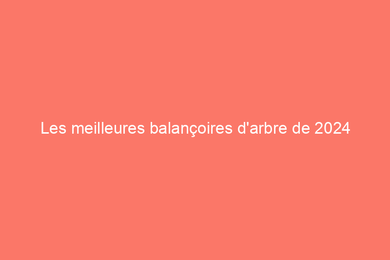 Les meilleures balançoires d'arbre de 2024 pour les enfants et les adultes