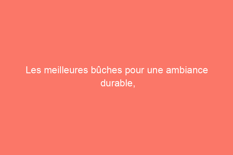 Les meilleures bûches pour une ambiance durable, testées