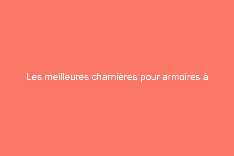 Les meilleures charnières pour armoires à fermeture en douceur