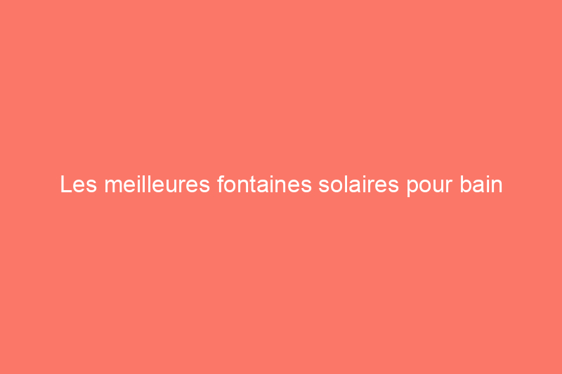 Les meilleures fontaines solaires pour bain d'oiseaux de 2024, testées