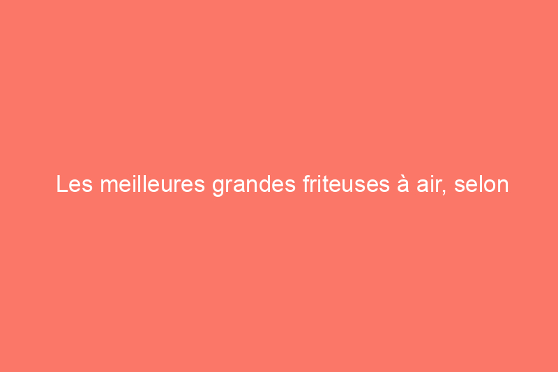 Les meilleures grandes friteuses à air, selon nos tests