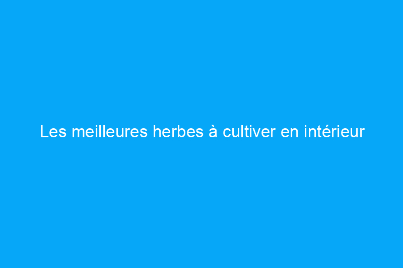 Les meilleures herbes à cultiver en intérieur