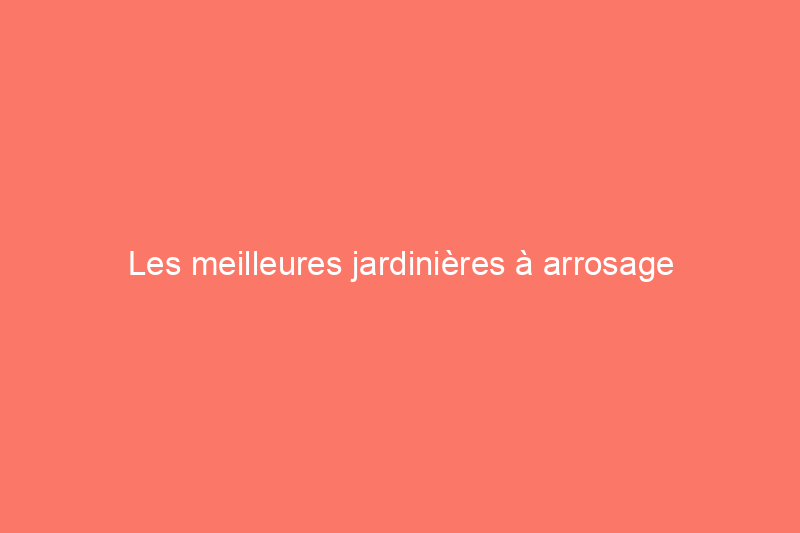 Les meilleures jardinières à arrosage automatique de 2024 pour les jardins nécessitant peu d'entretien, testées