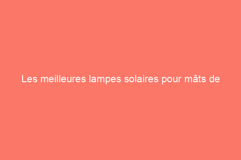 Les meilleures lampes solaires pour mâts de drapeau pour une exposition de drapeaux 24h/24 et 7j/7 de 2024, testées 