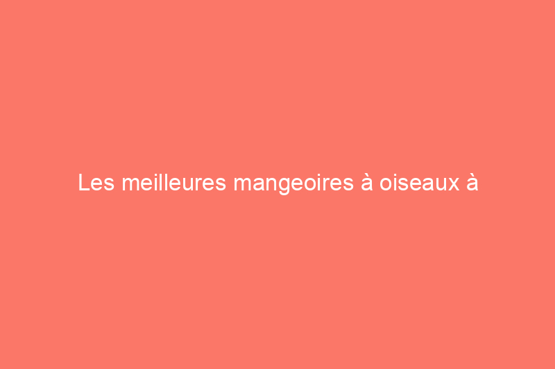 Les meilleures mangeoires à oiseaux à l'épreuve des écureuils, testées et évaluées