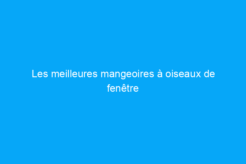 Les meilleures mangeoires à oiseaux de fenêtre de 2024 pour attirer les oiseaux, testées 