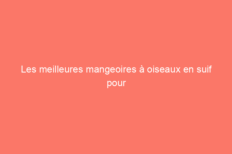 Les meilleures mangeoires à oiseaux en suif pour votre jardin en 2024, testées