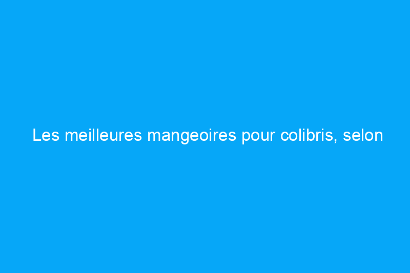 Les meilleures mangeoires pour colibris, selon nos tests