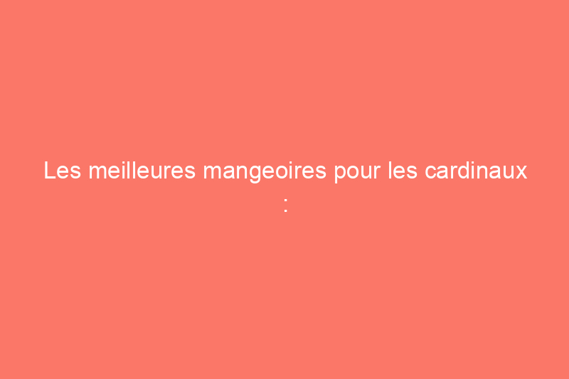 Les meilleures mangeoires pour les cardinaux : transformez votre jardin en un havre de paix