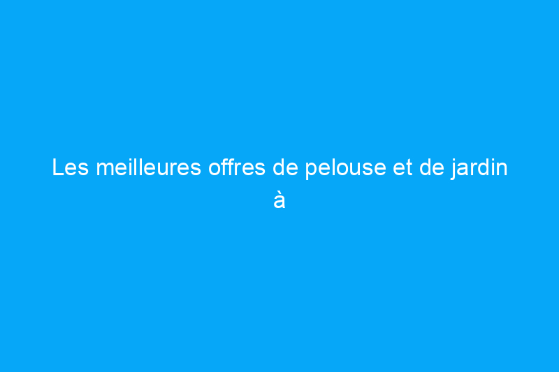 Les meilleures offres de pelouse et de jardin à acheter chez Lowe's ce mois-ci