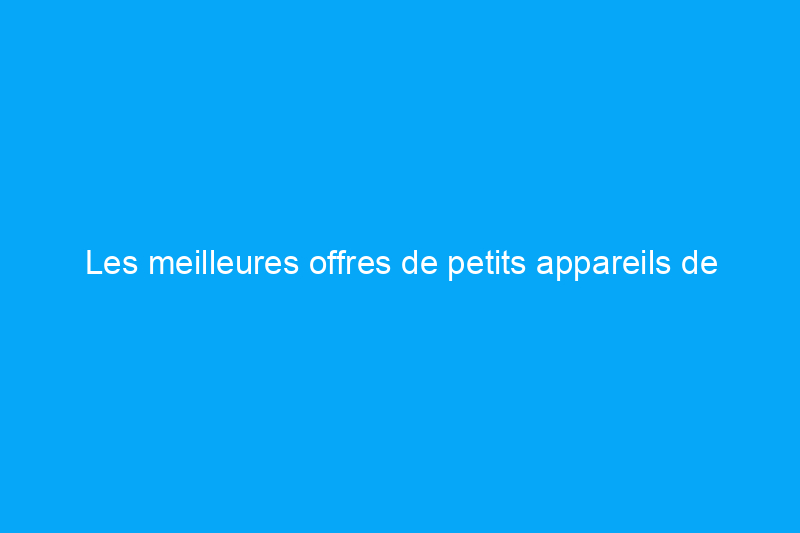 Les meilleures offres de petits appareils de cuisine à acheter pendant la Journée des Présidents