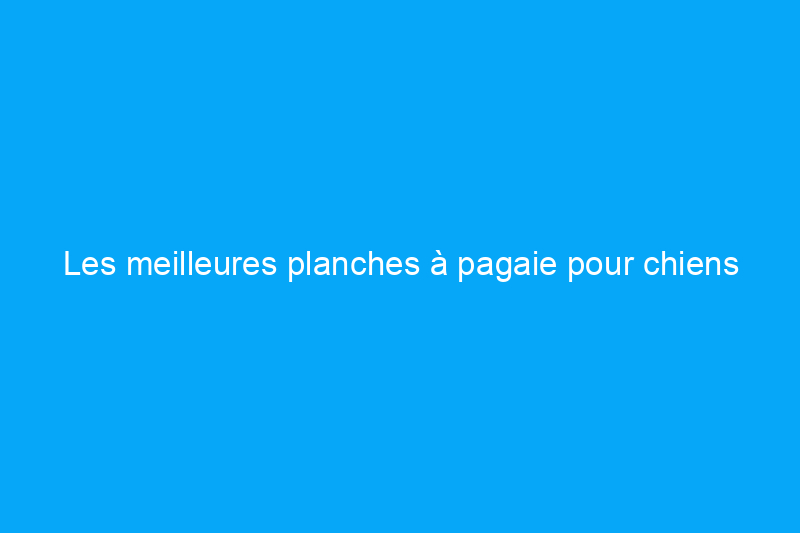 Les meilleures planches à pagaie pour chiens pour profiter du temps chaud sur l'eau