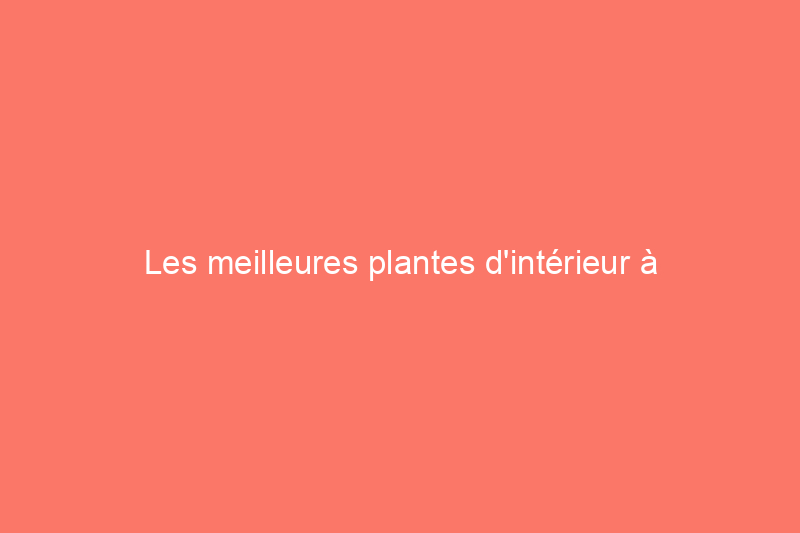 Les meilleures plantes d'intérieur à faible luminosité et faciles à entretenir