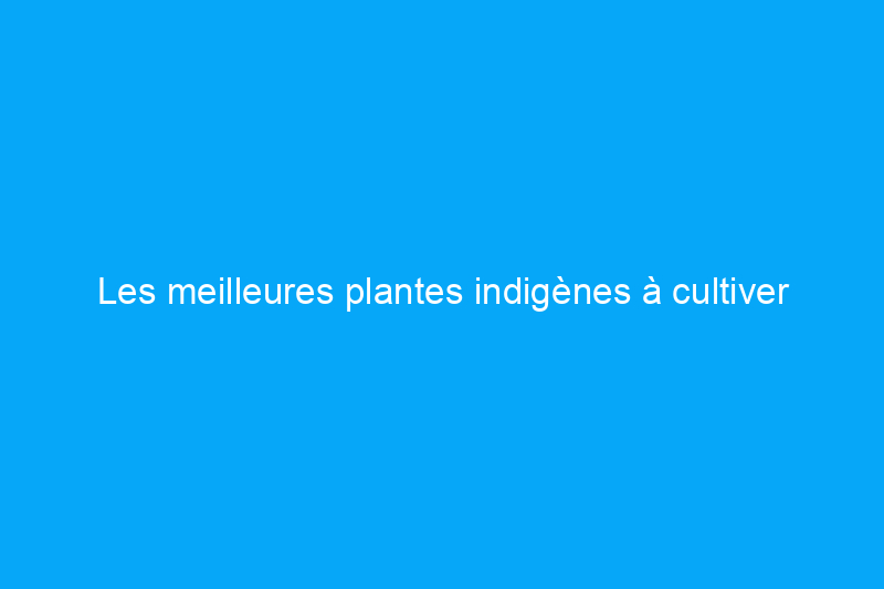 Les meilleures plantes indigènes à cultiver dans les jardins humides (par région)