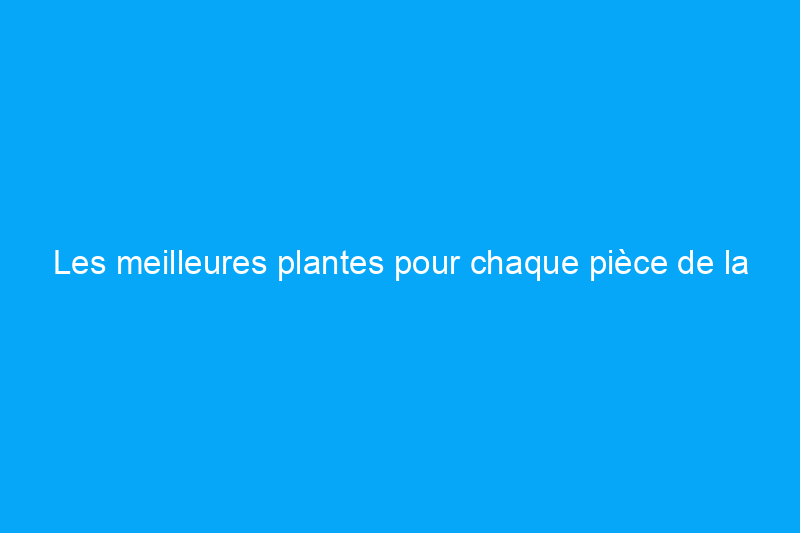 Les meilleures plantes pour chaque pièce de la maison