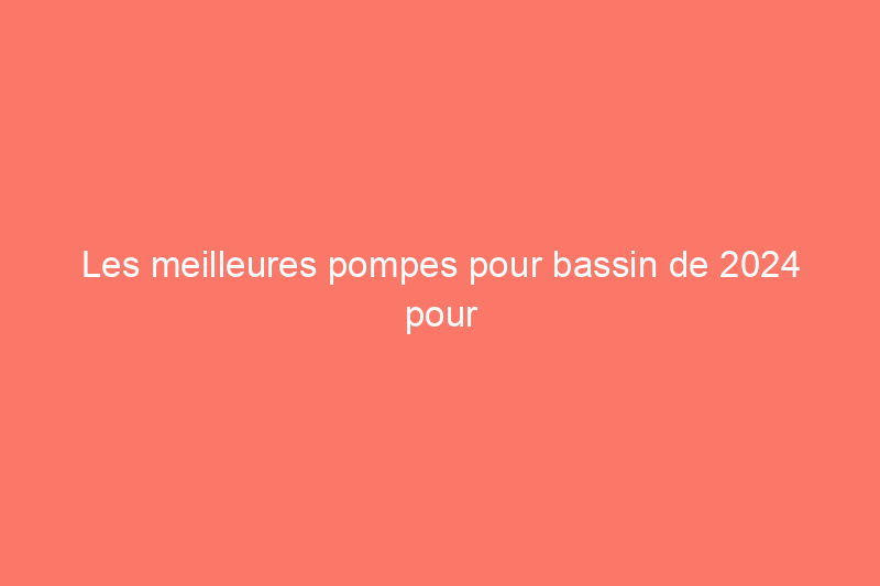 Les meilleures pompes pour bassin de 2024 pour votre bassin fait maison