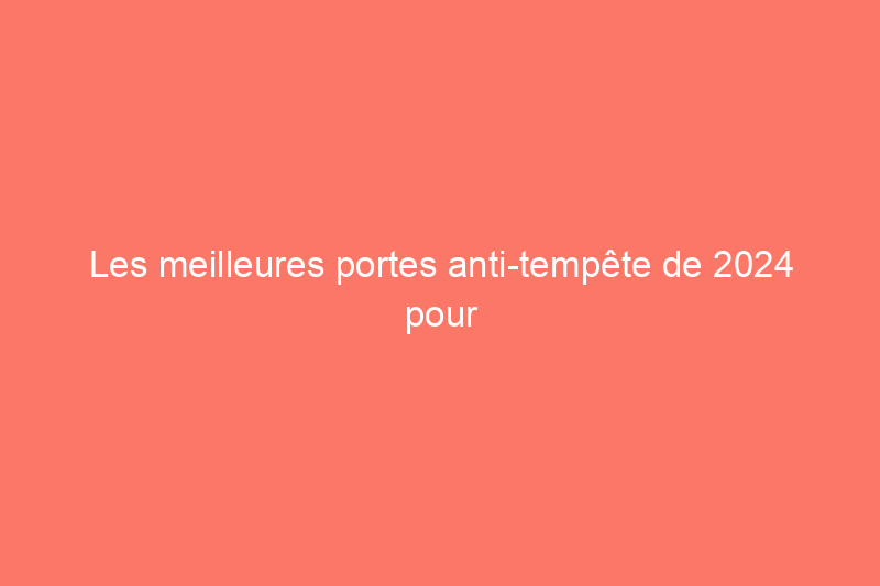 Les meilleures portes anti-tempête de 2024 pour les conditions météorologiques défavorables