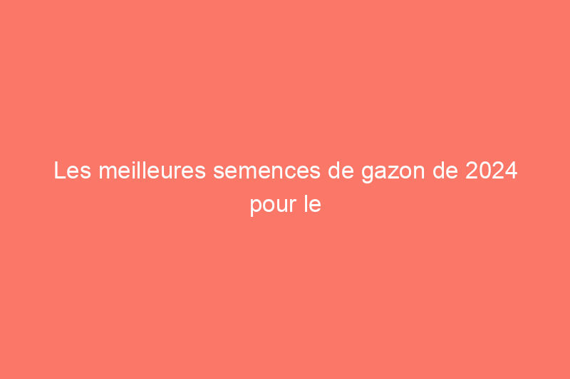 Les meilleures semences de gazon de 2024 pour le sursemis au printemps